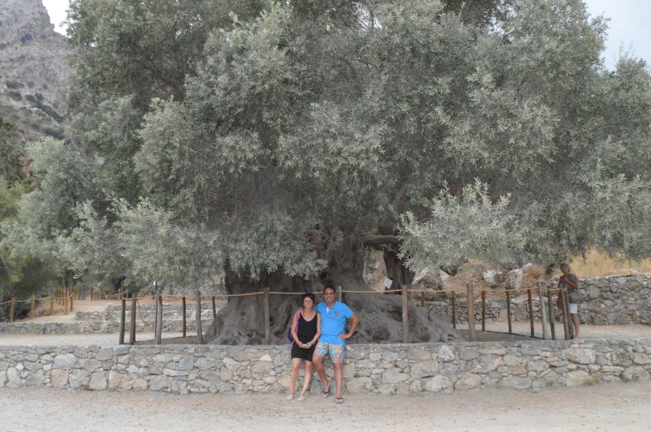 Tholos Rooms Kavoúsion المظهر الخارجي الصورة